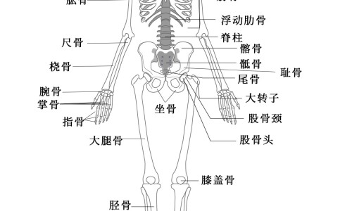 老鸭公和什么煲汤比较有营养-老鸭公汤怎样煮好吃又营养窍门-老鸭公炖20分钟还是硬的,中国老鸭公汤怎样煮好吃又营养网站